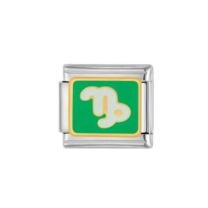Italian Charmlink ♑️ Capricorn Zodiac Sign for Charm Bracelet‎ 9mm Stainles…